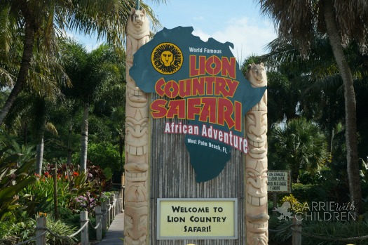 What I Saw This Weekend Lion Country Safari