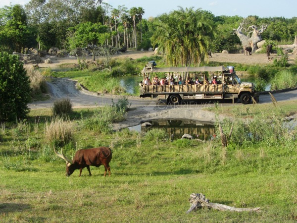 Disney's Animal Kingdom Wild Africa Trek Watermarked