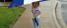 What I Saw This Weekend Rain
